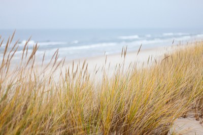 Die Ostsee und der Streit um die Quote