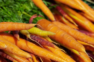 Vom Blatt bis zur Wurzel kochen: Tipp zur Vermeidung von Lebensmittelverschwendung