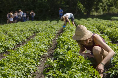 Welternährungstag 2024: Ernährungssicherheit gibt es nur, wenn wir dem Schutz von Klima und Umwelt und dem Wohl der Menschen den Vorrang geben