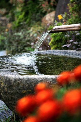 Wasser schützen heißt Ernährung sichern: Slow Food Deutschland zum Welttag des Wassers am 22. März 2025