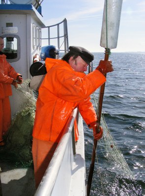 End of Fish Day 2024: Fisch aus Nord- und Ostsee bald eine Seltenheit?