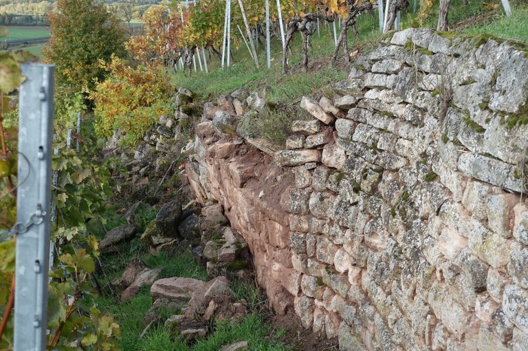 Fischgrät Trockenmauer