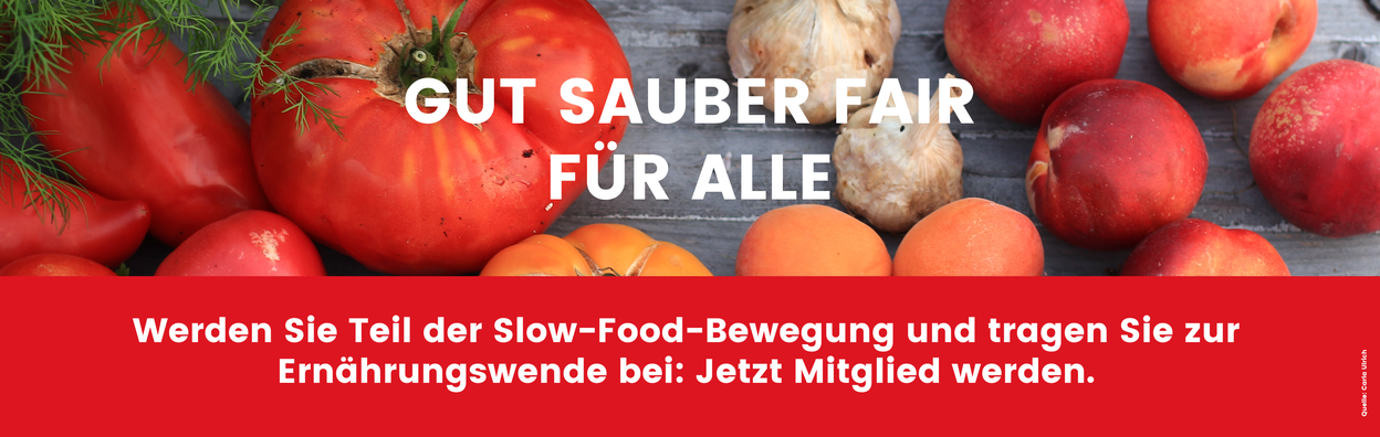 Slow Food allgemein