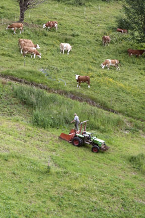 Tiere in der Landwirtschaft — Slow Food Deutschland